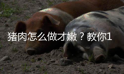 猪肉怎么做才嫩？教你11个嫩肉方法