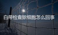 白带检查脓细胞怎么回事