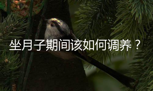 坐月子期间该如何调养？