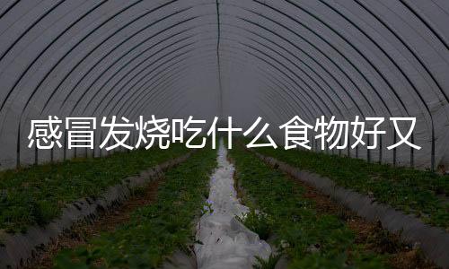 感冒发烧吃什么食物好又快？