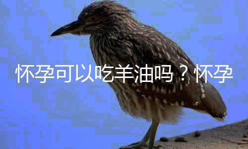 怀孕可以吃羊油吗？怀孕吃什么比较好