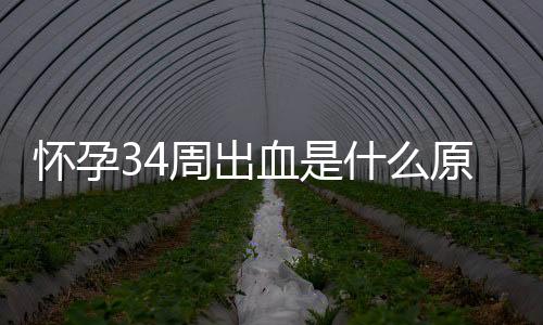 怀孕34周出血是什么原因