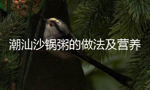 潮汕沙锅粥的做法及营养价值