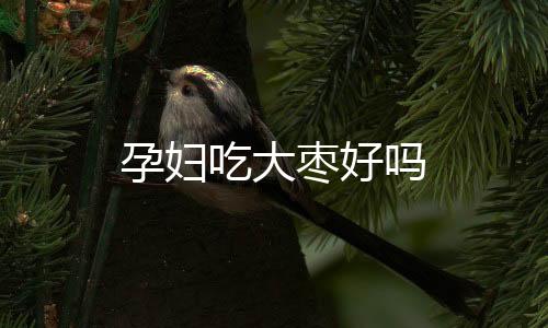 孕妇吃大枣好吗