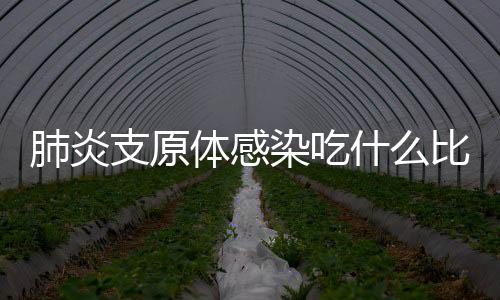 肺炎支原体感染吃什么比较好？