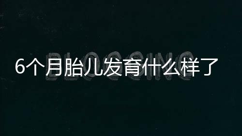 6个月胎儿发育什么样了呢